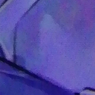 五年生