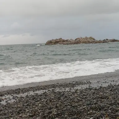 Profile image of 기존이