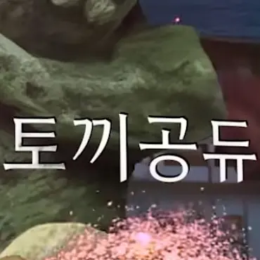 Profile image of 토끼공듀