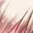ギャリー