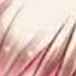 ギャリー