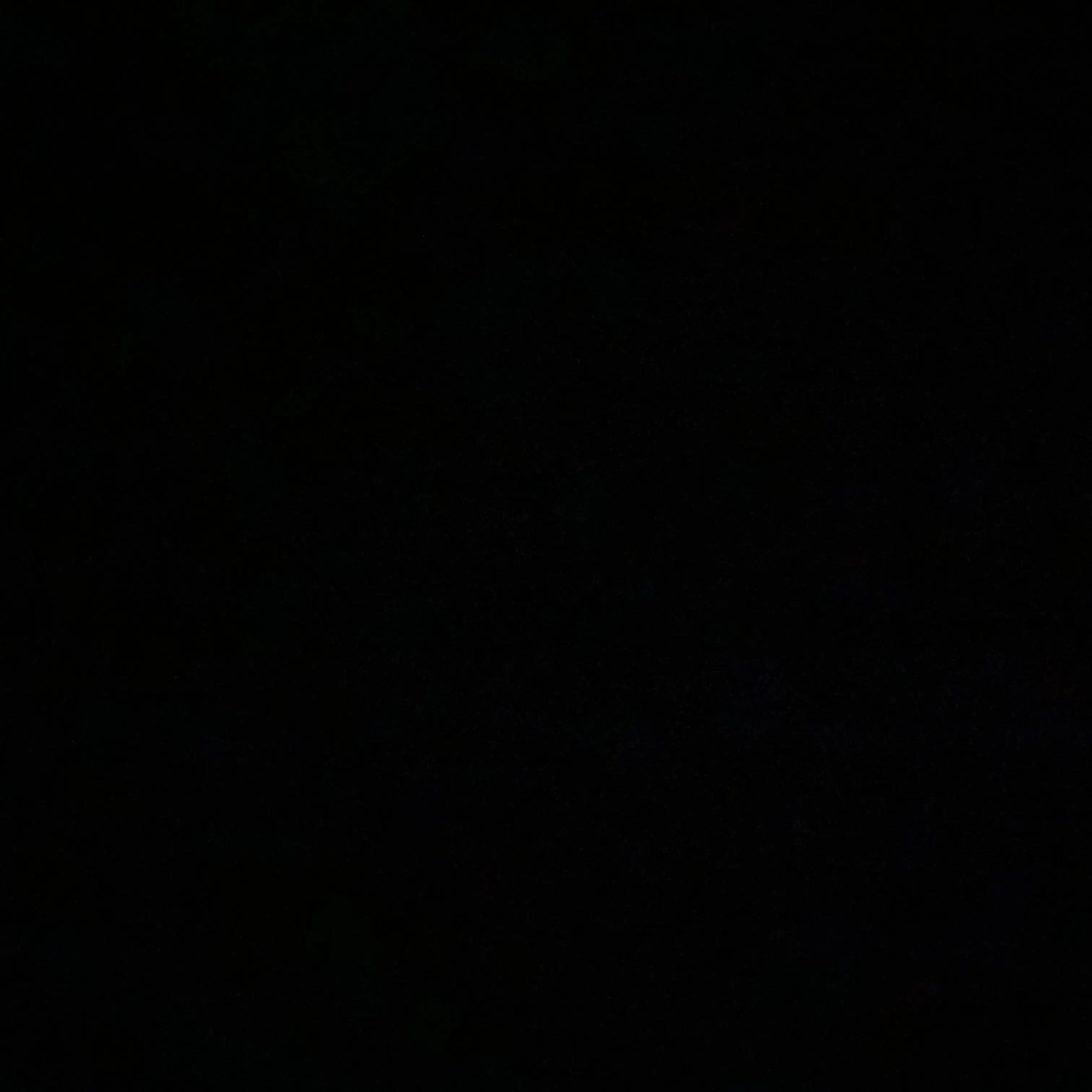 Dogfight의 호우주위보