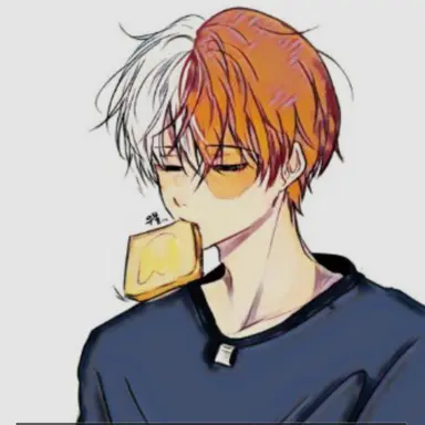Profile image of Shoto Todoroki