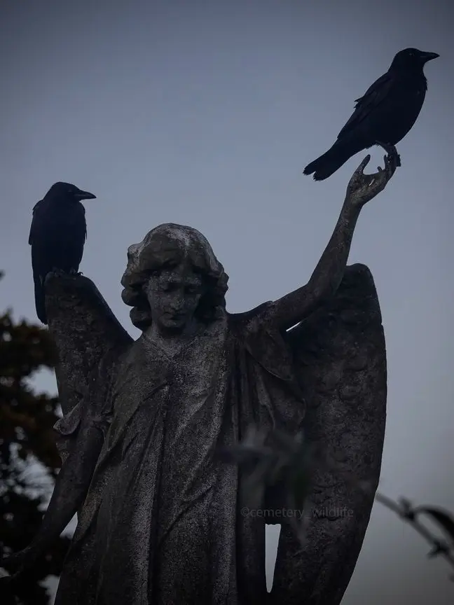 FoulCode5627의 Vade Retro Satana ！