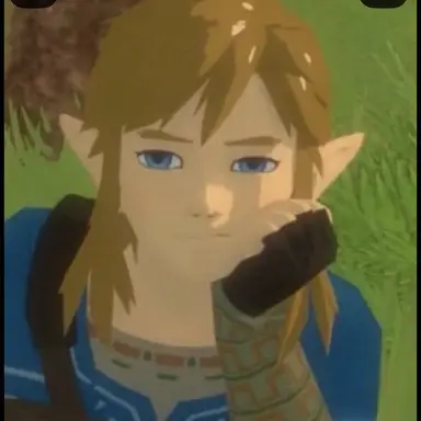 Profile image of Link