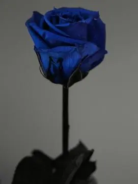 ihbakgaml5242의 남친의 비밀을 알아버렸다.