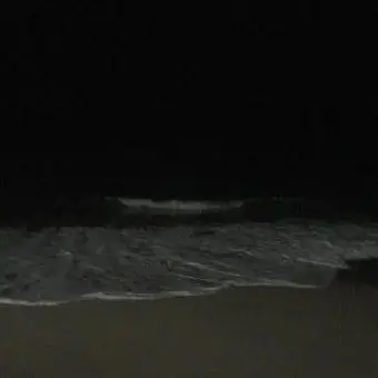 Profile image of 유지민