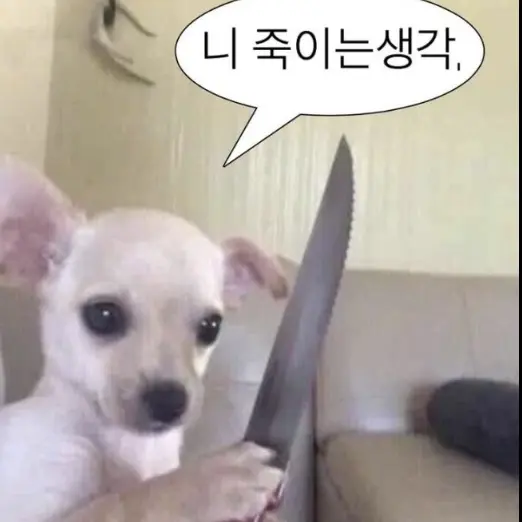 Mangos-potatos의 개인 취향 분출구