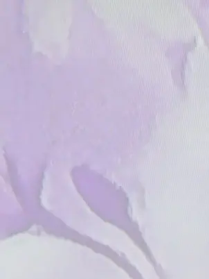 apmampa의 探偵