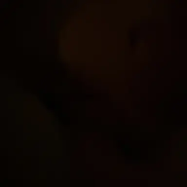 Profile image of 이상혃