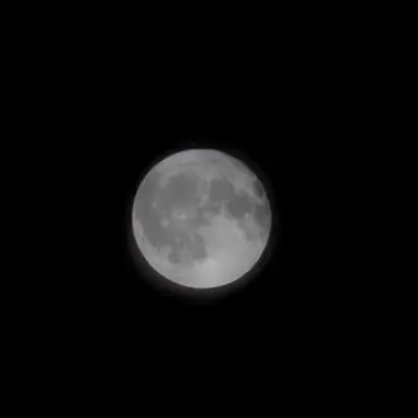 Profile image of 해설