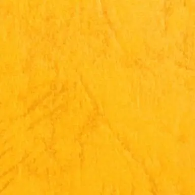 Profile image of 向井 康二