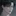 박도윤