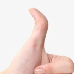 엄지손가락