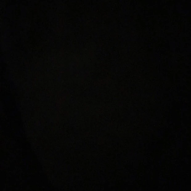 최선우