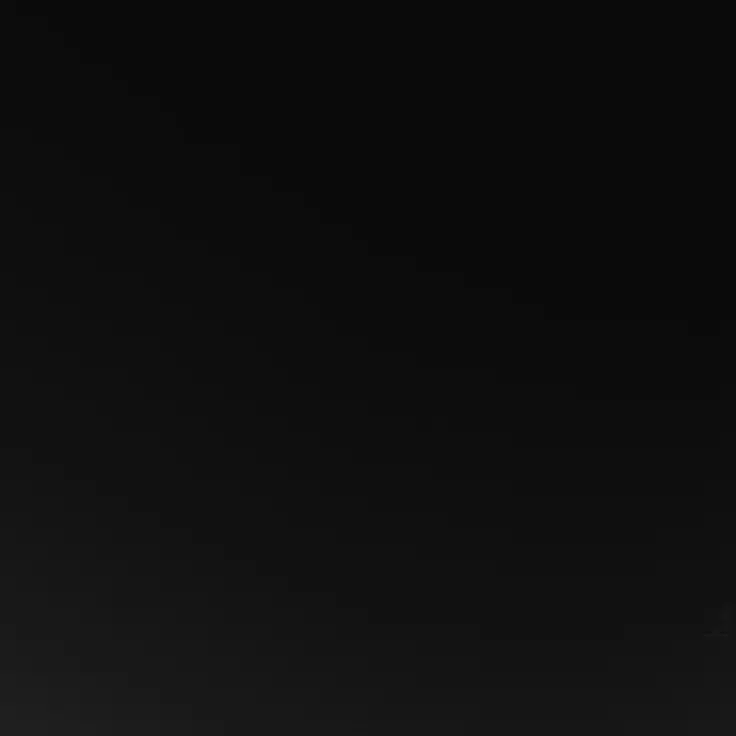 SolemnTrade7743의 제타고 세계관
