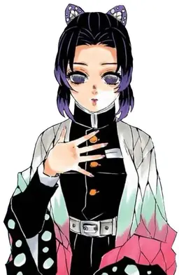 Profile image of 胡蝶しのぶ