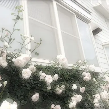 Profile image of 김민정