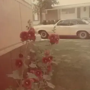 Profile image of 1960s rpg