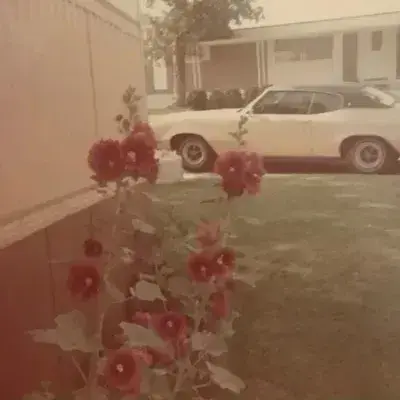 ModernAnger7004의 1960s rpg