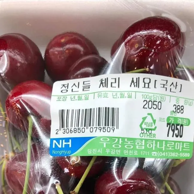 hz.byn1의 오르나 페딜리트
