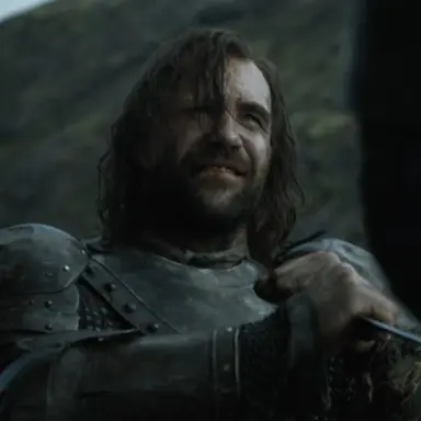 Profile image of Sandor Clegane