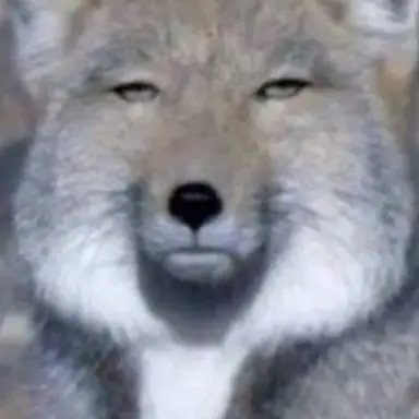 Profile image of 여우