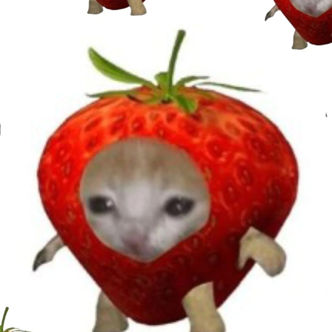 딸기캣