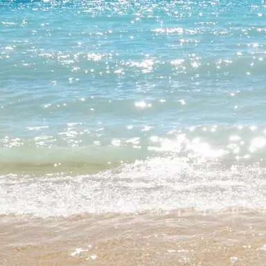 Profile image of 멜로우