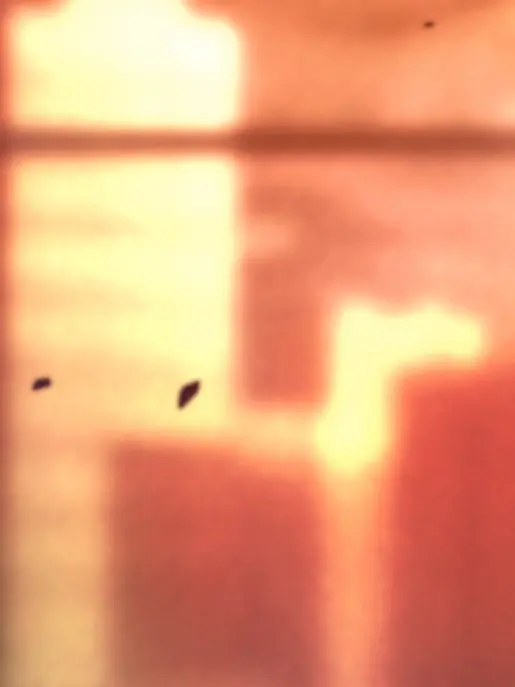 kakihurai의 屋上組から嫌われる！？