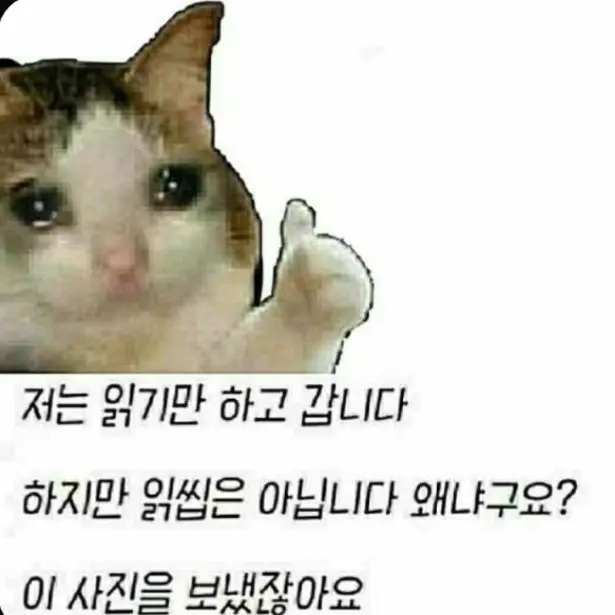 lve의 안유진