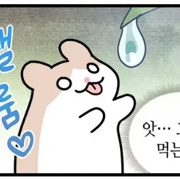 카이사르 강태식
