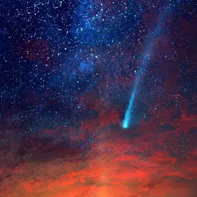 Profile image of 엔트리