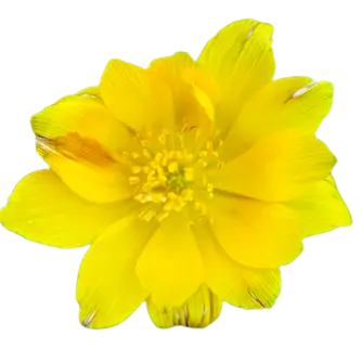 Profile image of 서유건