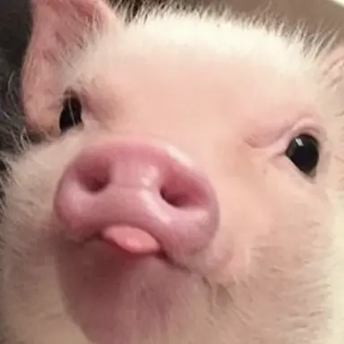 Profile image of 서창빈