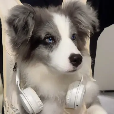 Profile image of 박건욱