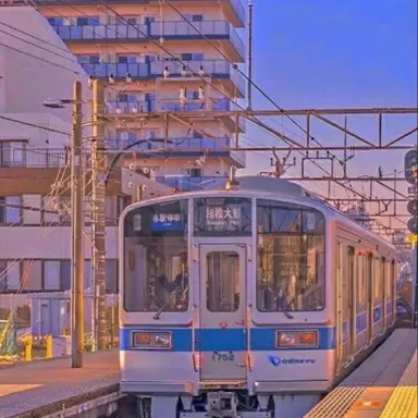 Profile image of 멜로우