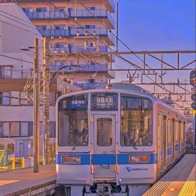 JustHat1867의 정신병원에도 팀나빠가 와요^^ (?)