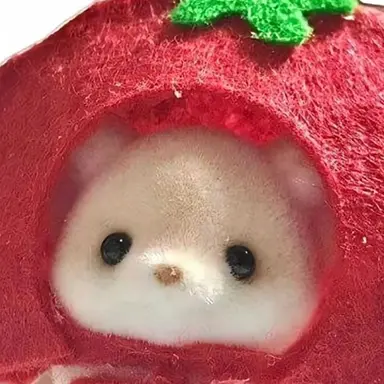 Profile image of 유기사