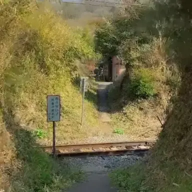 Profile image of 우유참치