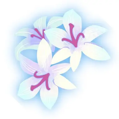 Profile image of 세인트릴리 쿠키