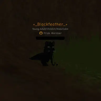Profile image of Blackfeather