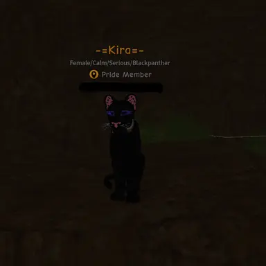 Profile image of Kira