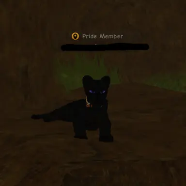 Profile image of Kira