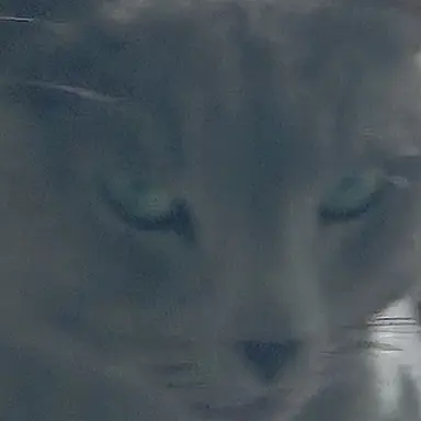 Profile image of 산범