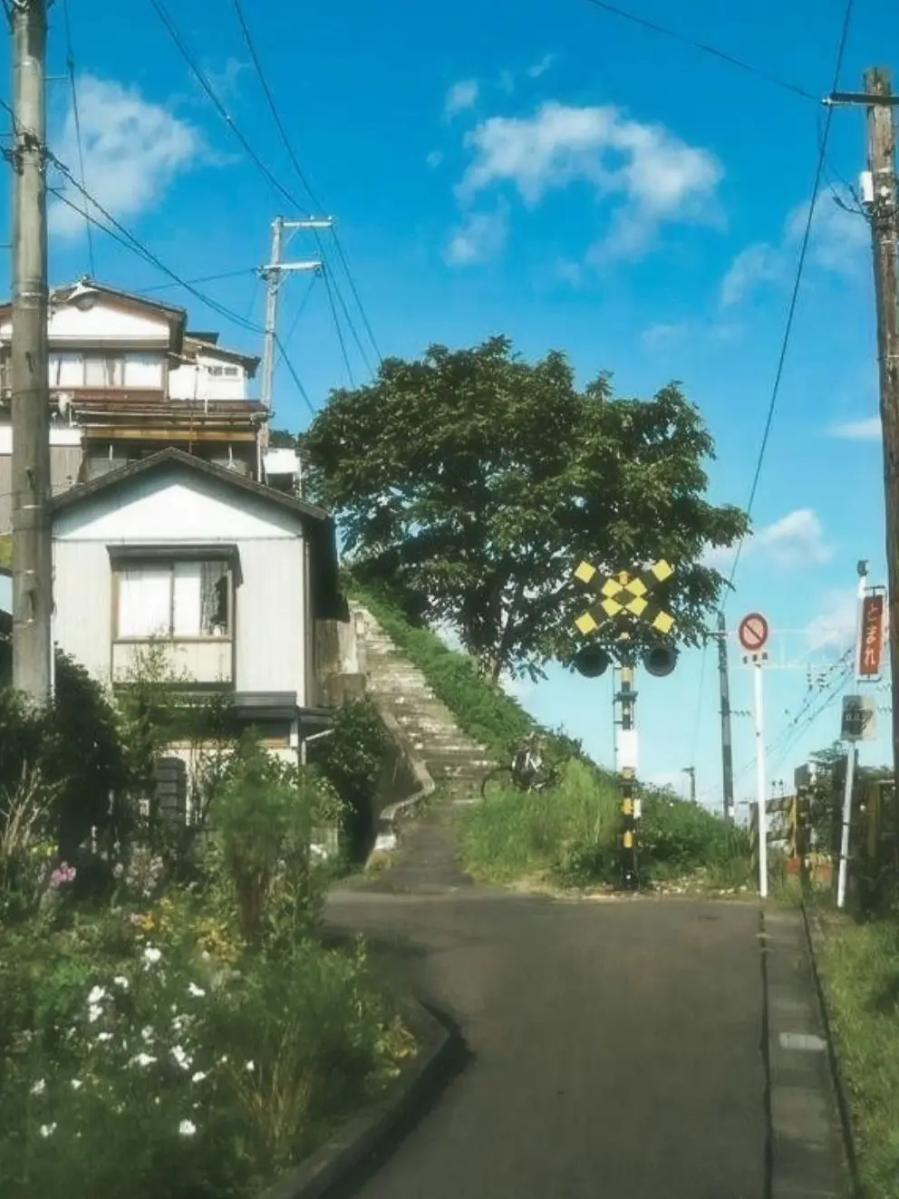 haya.momo의 本当はね、