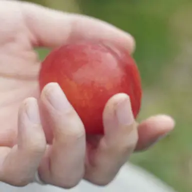 Profile image of 백현