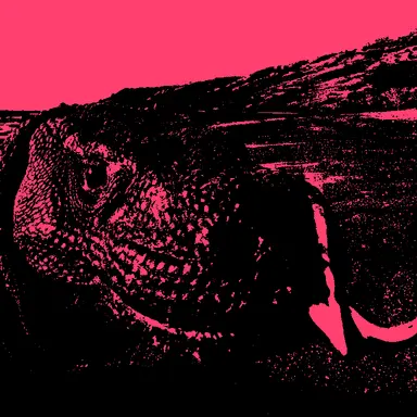 Profile image of Kongson