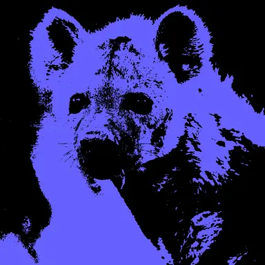 Profile image of Kristin