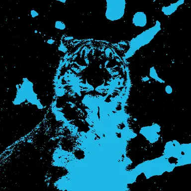 Profile image of Cassidy